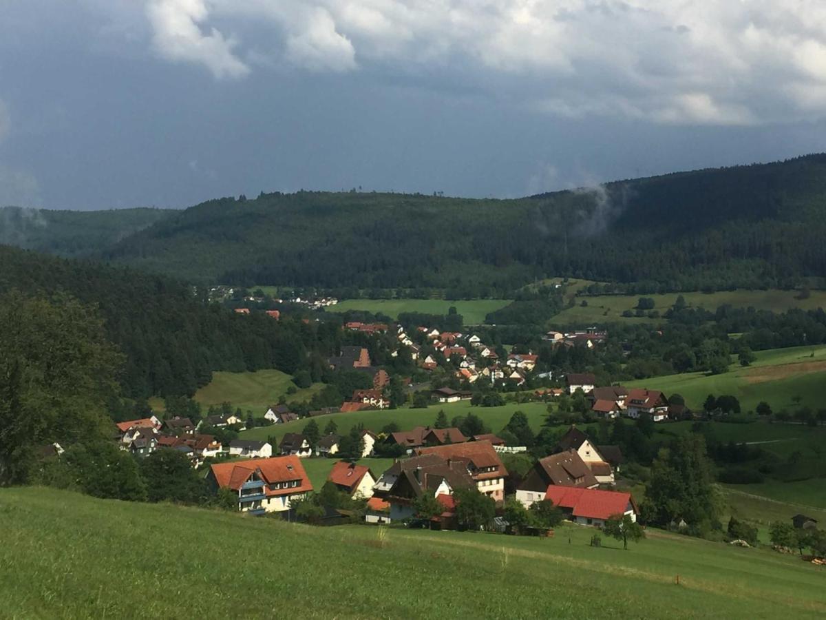 Ferienwohnung Herbert Best Baiersbronn Buitenkant foto
