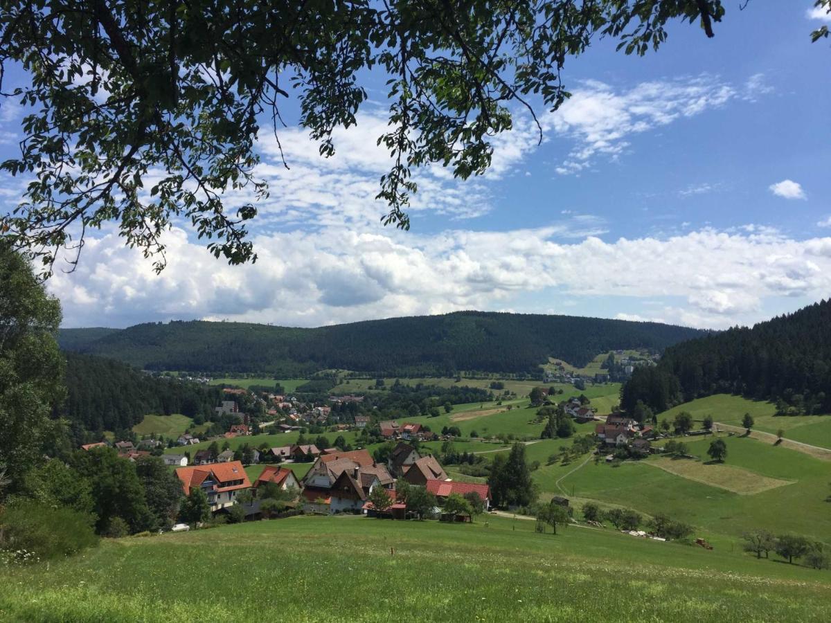 Ferienwohnung Herbert Best Baiersbronn Buitenkant foto
