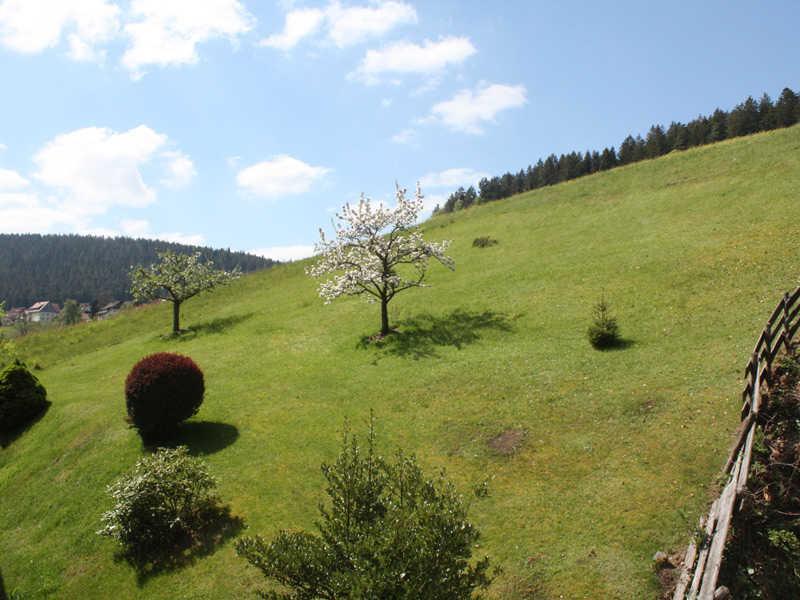Ferienwohnung Herbert Best Baiersbronn Buitenkant foto